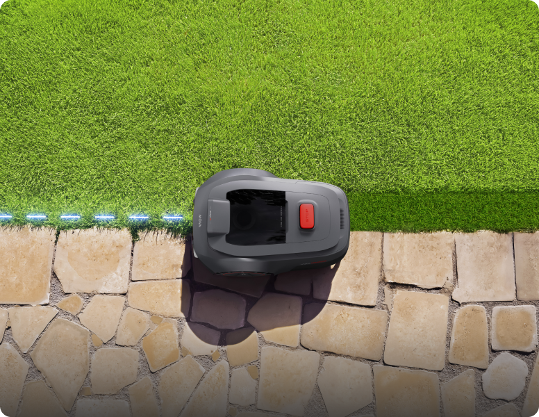 mova viax 250 maaien op de grens