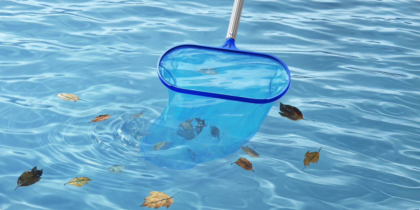 mova handler v10 volledige reiniging van bodem tot oppervlak met skimmer - 